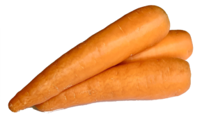 Mm. Carrot