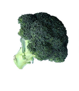Mm. Broccoli