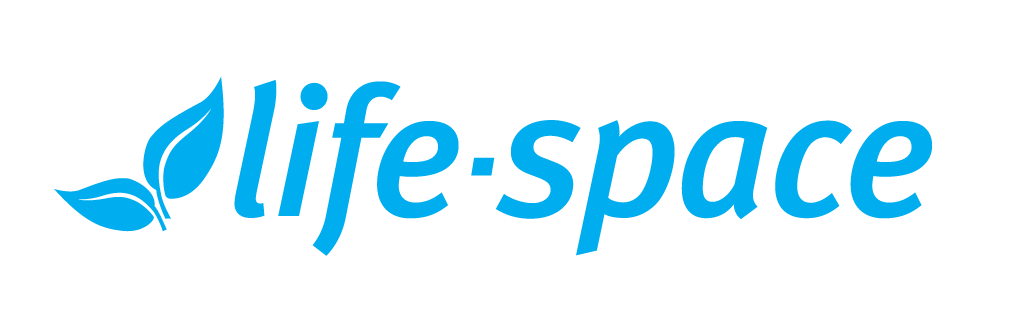 Lifespace Logo Blue 1 01